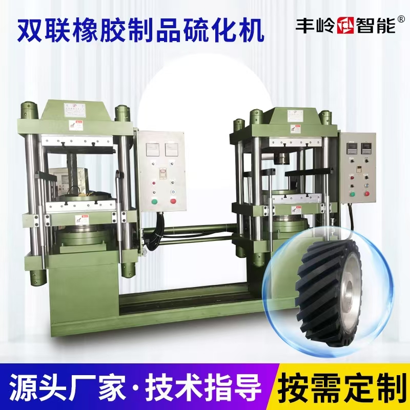 Double vulcanizer