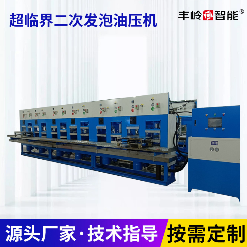 Supercritical secondary foaming oil press